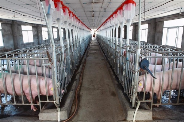 空氣(qi)能(néng)養殖熱泵的(de)耐用(yong)性如何